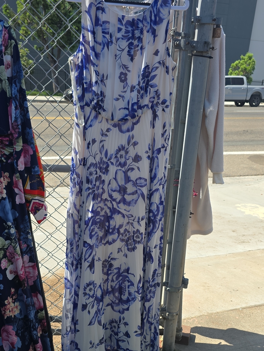 Eliza J White and Blue Floral Pleated Maxi Dress